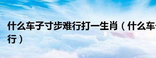 什么车子寸步难行打一生肖（什么车子寸步难行）