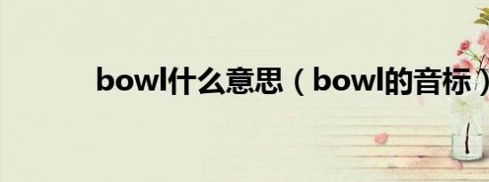 bowl什么意思（bowl的音标）