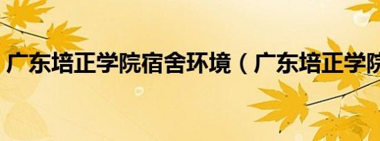广东培正学院宿舍环境（广东培正学院宿舍）