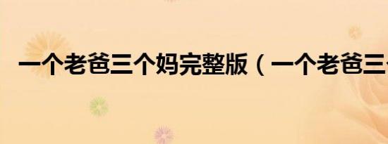 一个老爸三个妈完整版（一个老爸三个妈）