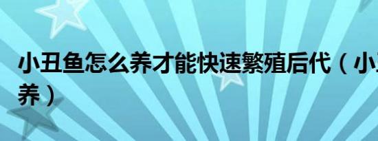 小丑鱼怎么养才能快速繁殖后代（小丑鱼怎么养）