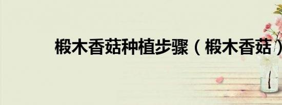 椴木香菇种植步骤（椴木香菇）