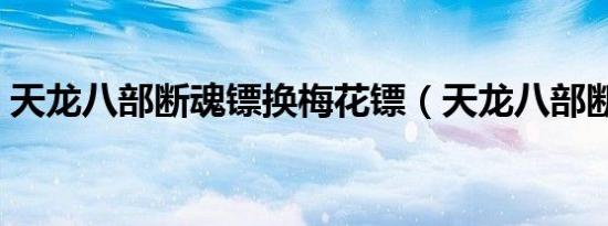 天龙八部断魂镖换梅花镖（天龙八部断魂镖）