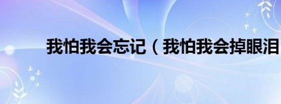 我怕我会忘记（我怕我会掉眼泪）