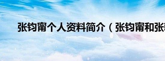 张钧甯个人资料简介（张钧甯和张翰）