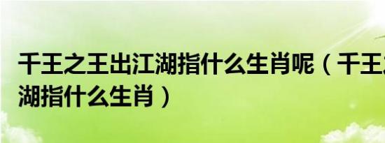 千王之王出江湖指什么生肖呢（千王之王出江湖指什么生肖）