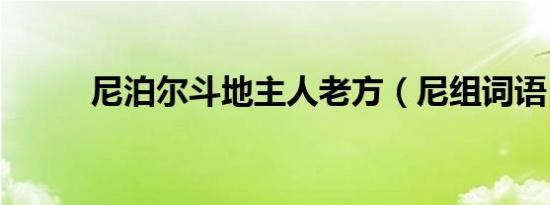 尼泊尔斗地主人老方（尼组词语）