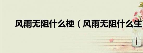 风雨无阻什么梗（风雨无阻什么生肖）