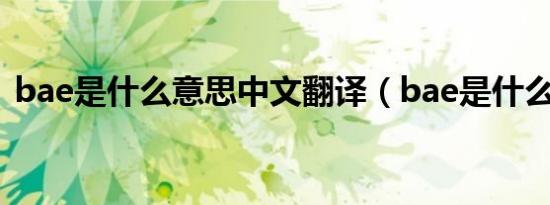 bae是什么意思中文翻译（bae是什么意思）