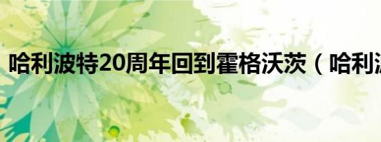 哈利波特20周年回到霍格沃茨（哈利波特2）