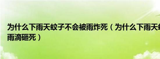 为什么下雨天蚊子不会被雨炸死（为什么下雨天蚊子不会被雨滴砸死）