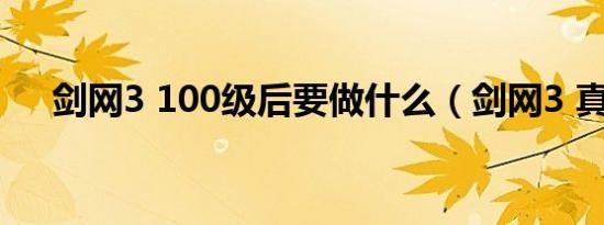 剑网3 100级后要做什么（剑网3 真凶）