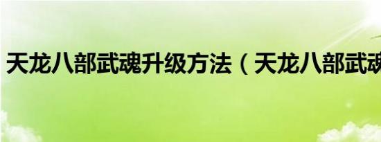天龙八部武魂升级方法（天龙八部武魂升级）