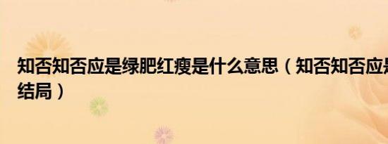 知否知否应是绿肥红瘦是什么意思（知否知否应是绿肥红瘦结局）
