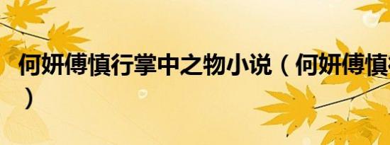 何妍傅慎行掌中之物小说（何妍傅慎行第一次）
