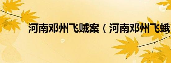 河南邓州飞贼案（河南邓州飞蛾）