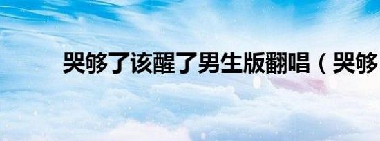 哭够了该醒了男生版翻唱（哭够）