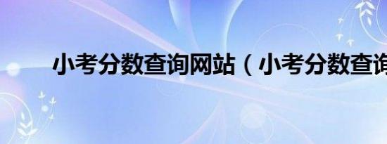 小考分数查询网站（小考分数查询）