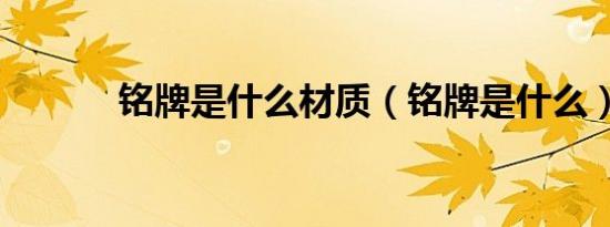 铭牌是什么材质（铭牌是什么）