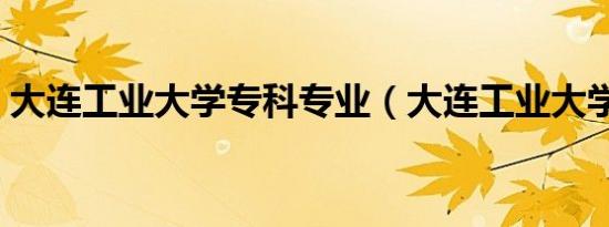 大连工业大学专科专业（大连工业大学专科）