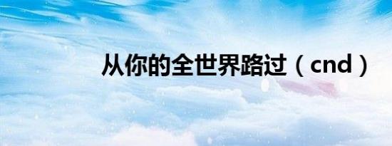 从你的全世界路过（cnd）