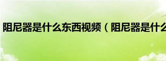 阻尼器是什么东西视频（阻尼器是什么东西）
