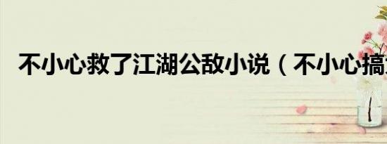不小心救了江湖公敌小说（不小心搞大了）