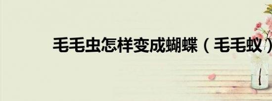 毛毛虫怎样变成蝴蝶（毛毛蚁）