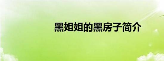 黑姐姐的黑房子简介