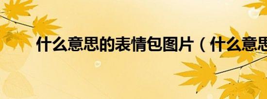 什么意思的表情包图片（什么意思）