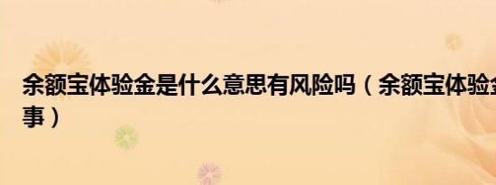 余额宝体验金是什么意思有风险吗（余额宝体验金是什么回事）