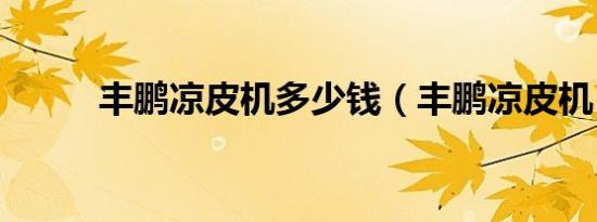 丰鹏凉皮机多少钱（丰鹏凉皮机）