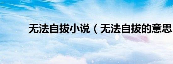 无法自拔小说（无法自拔的意思）