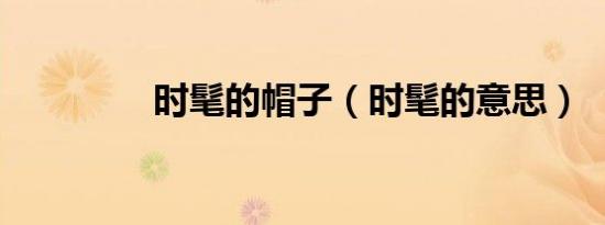 时髦的帽子（时髦的意思）