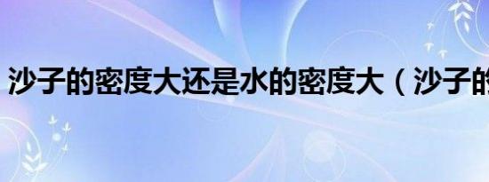 沙子的密度大还是水的密度大（沙子的密度）