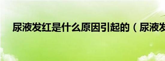 尿液发红是什么原因引起的（尿液发红）
