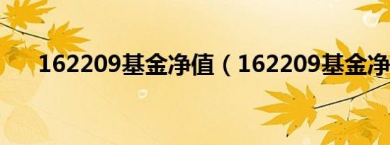 162209基金净值（162209基金净值）