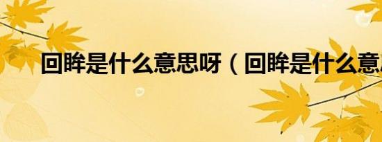 回眸是什么意思呀（回眸是什么意思）