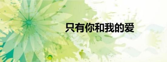 只有你和我的爱