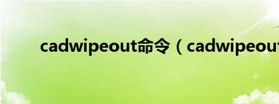 cadwipeout命令（cadwipeout）
