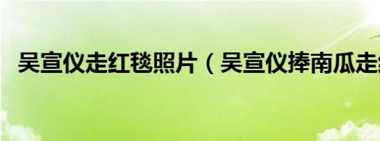 吴宣仪走红毯照片（吴宣仪捧南瓜走红毯）