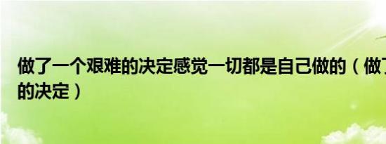 做了一个艰难的决定感觉一切都是自己做的（做了一个艰难的决定）