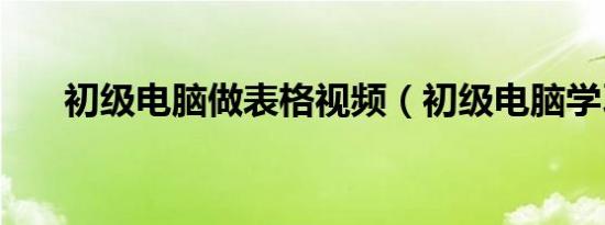 初级电脑做表格视频（初级电脑学习）