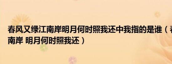 春风又绿江南岸明月何时照我还中我指的是谁（春风又绿江南岸 明月何时照我还）