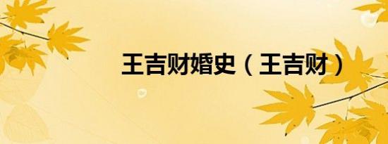 王吉财婚史（王吉财）