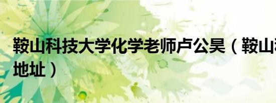 鞍山科技大学化学老师卢公昊（鞍山科技大学地址）