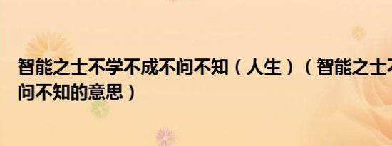 智能之士不学不成不问不知（人生）（智能之士不学不成不问不知的意思）