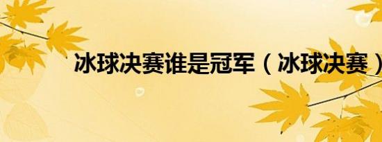 冰球决赛谁是冠军（冰球决赛）