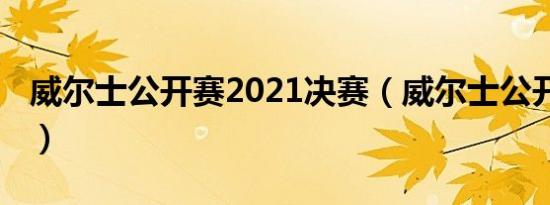 威尔士公开赛2021决赛（威尔士公开赛2021）