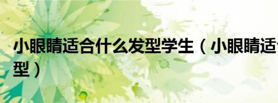 小眼睛适合什么发型学生（小眼睛适合什么发型）